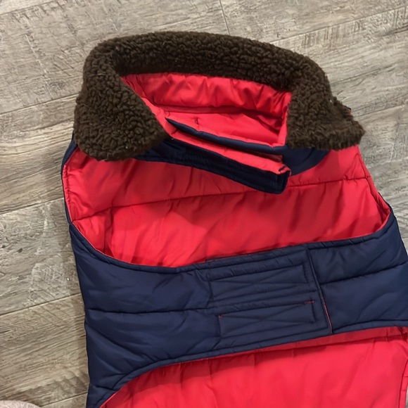 Bass sweater dog - Picture 3 of 5